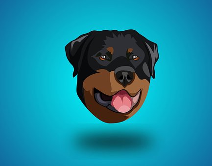 Cachorro, Ilustração Vetorial, Vectorart