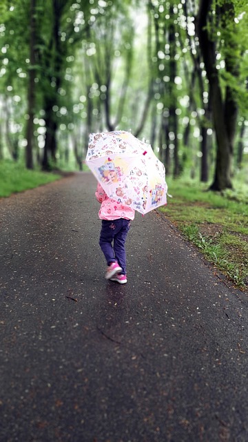 Free Rain Umbrella photo and picture