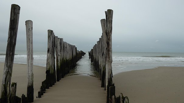 Free Beach Sand photo and picture