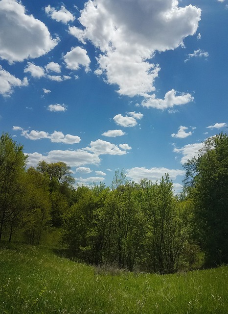 Free Beautiful Blue photo and picture