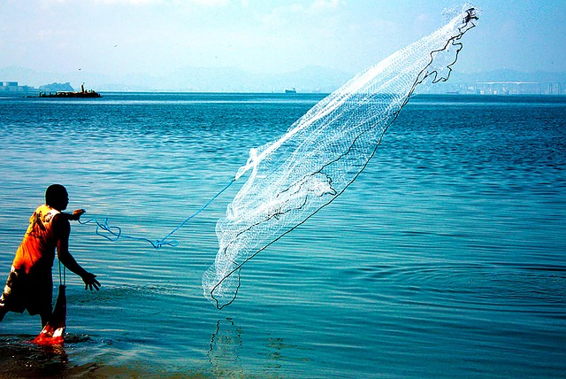 Free Network Fishing photo and picture