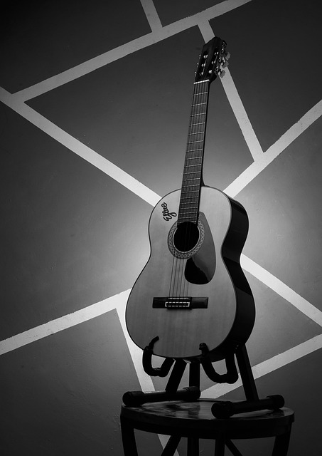 Free Guitar Acoustic photo and picture
