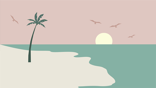 Free beach sea ocean vector