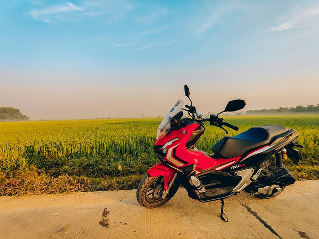 Honda Adv, Zlatá Rýže, Kambodža