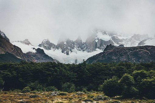 Montanhas, Neve, Floresta, Arvores