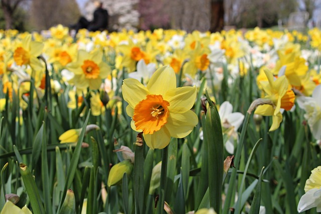 Free Spring Easter Bell photo and picture