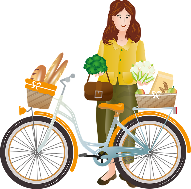 Free bicycle shopping woman vector