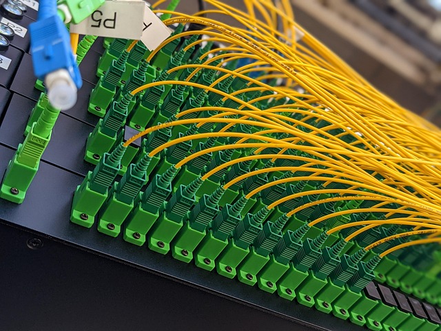 Free Patch Panel Fiber photo and picture