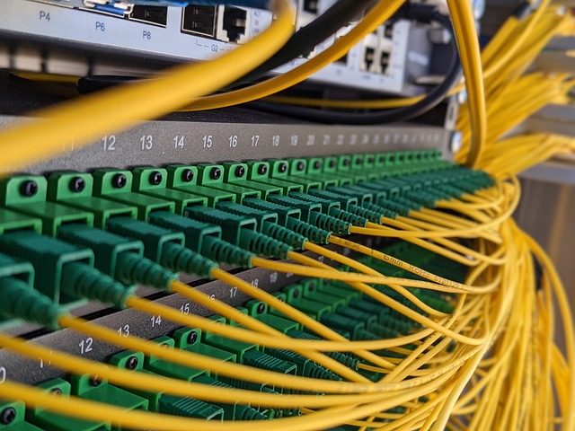 Free Patch Panel Internet photo and picture