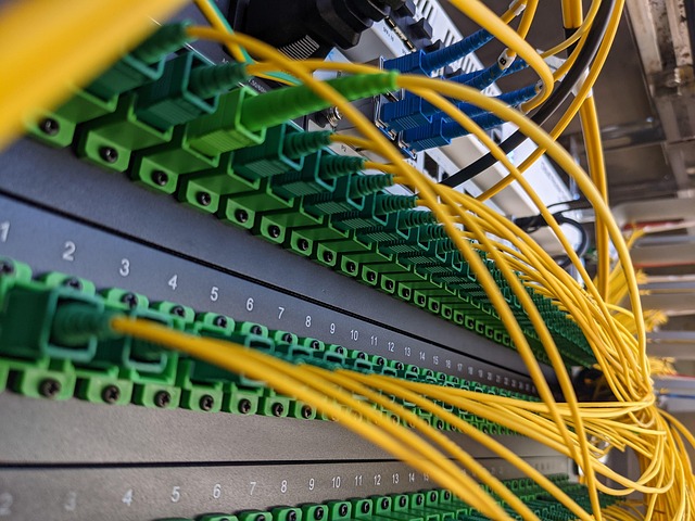 Free Patch Panel Fiber photo and picture
