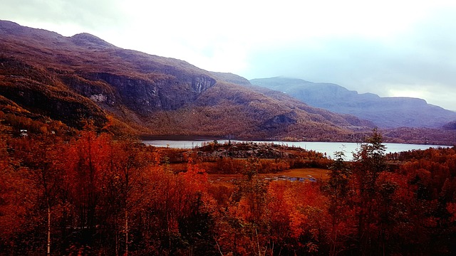 Norway Nature Fall - Free photo on Pixabay - Pixabay