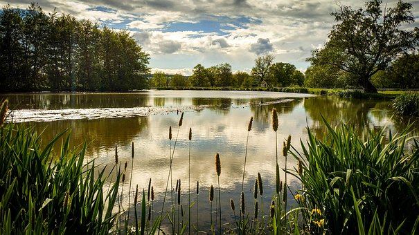 Free Nature Water photo and picture