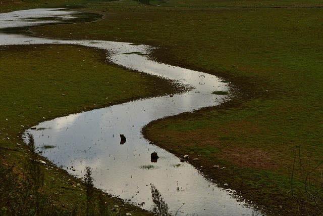 Free River Stream photo and picture