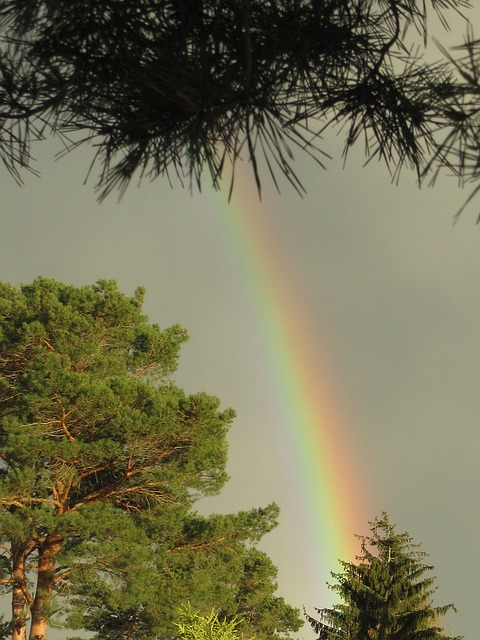 Free Rainbow Heaven photo and picture