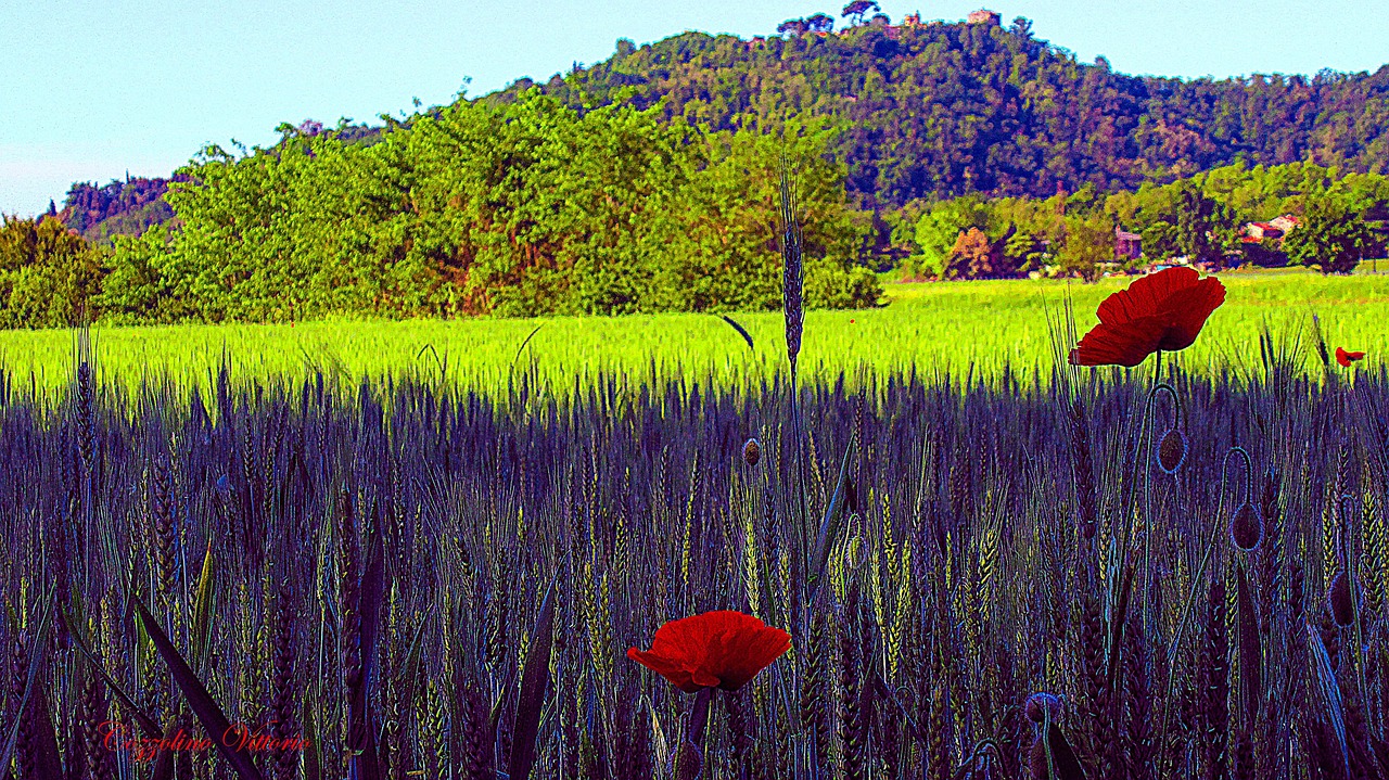 Color Country Beautiful Mountain - Free photo on Pixabay - Pixabay