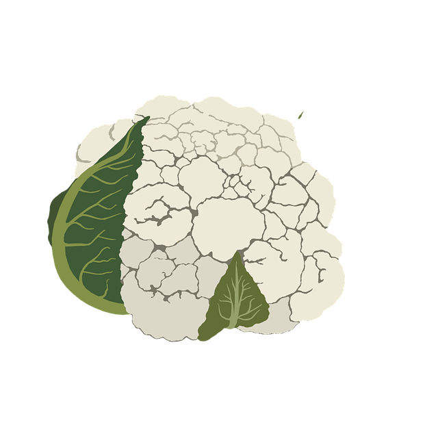 Free cauliflower vegetable healthy illustration
