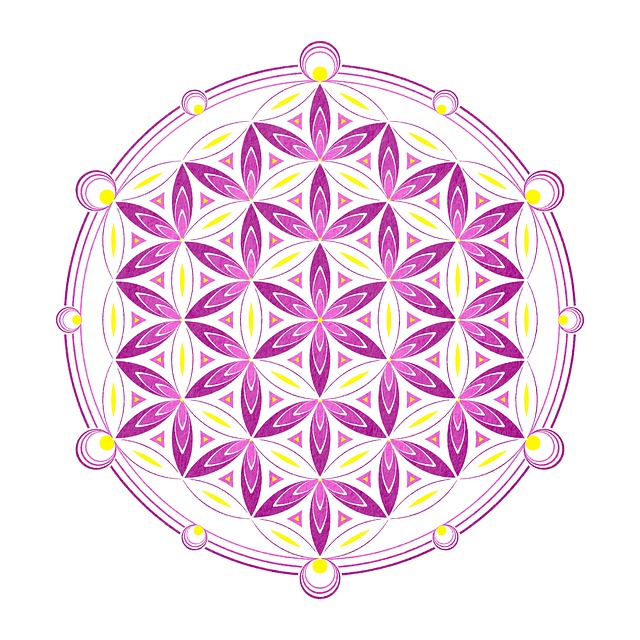 Flor Da Vida Geometria Sagrada - Foto gratuita no Pi…