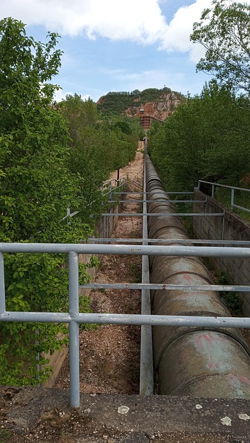 Rør, Mine, Klipper, Hegn, Ungarn