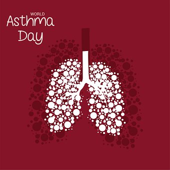 Free Lungs Organs illustration and picture