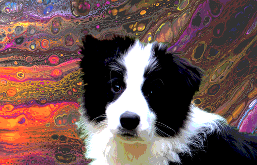 Free Puppy Dog illustration and picture