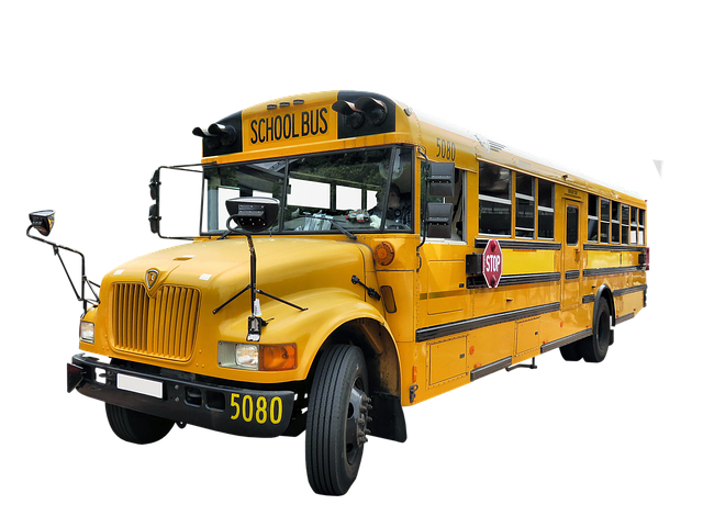 Free schoolbus bus transportation illustration