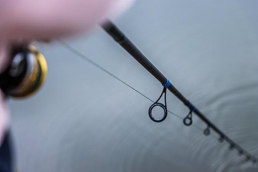 Free Fishing Rod photo and picture
