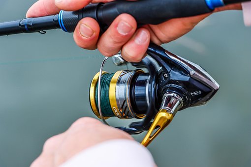 Free Fishing Rod photo and picture