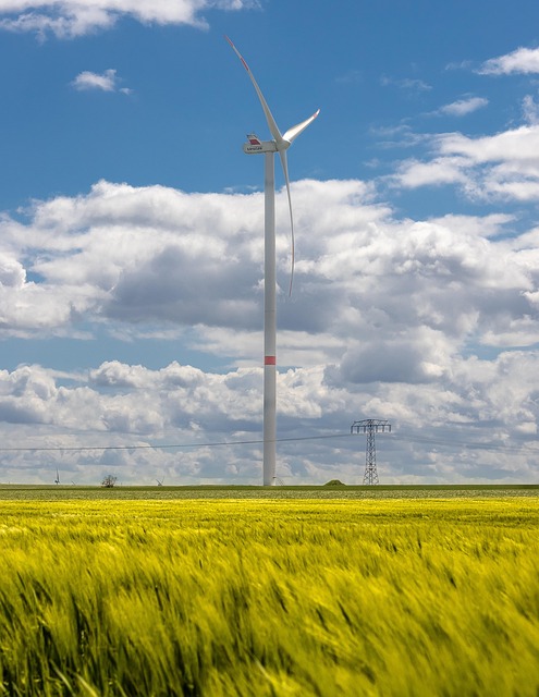 Free Windmill Farm photo and picture