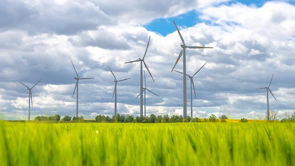 Free Wind Mills Field photo and picture