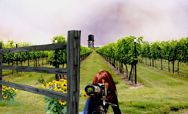 Free vineyard tripod photographer illustration
