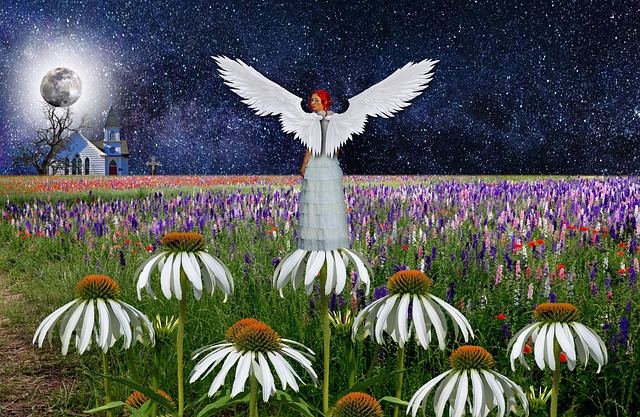 Angel Moon Flowers - Free photo on Pixabay