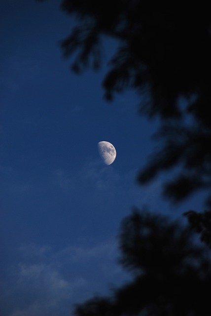 Måne, Himmel, Nat, Astronomi, Måneskin