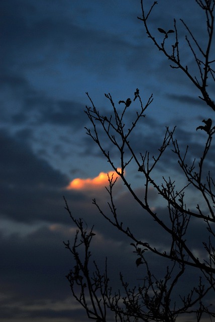 Himmel, Skyer, Natur, Landskab