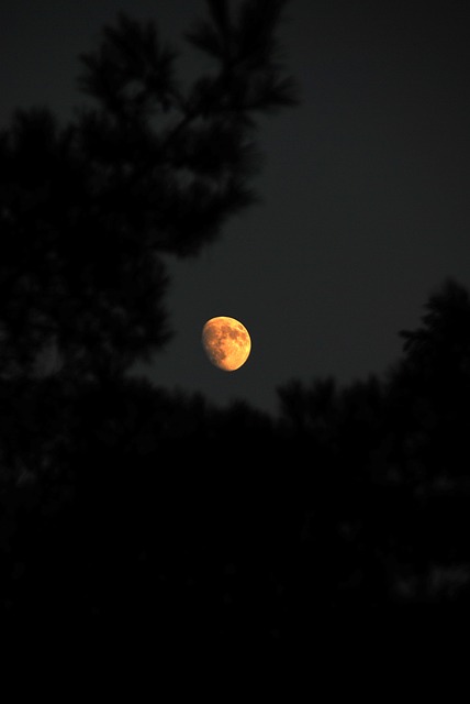 Måne, Himmel, Nat, Astronomi, Måneskin