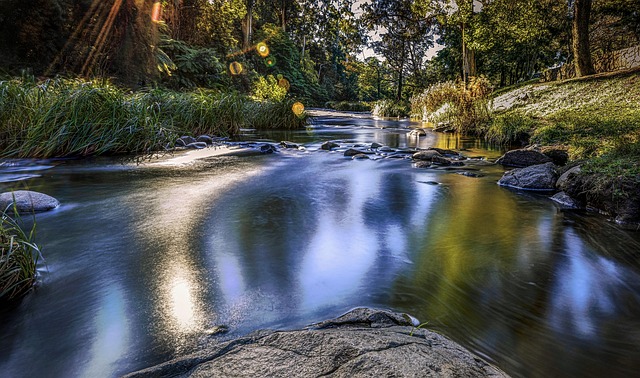 Free River Green photo and picture