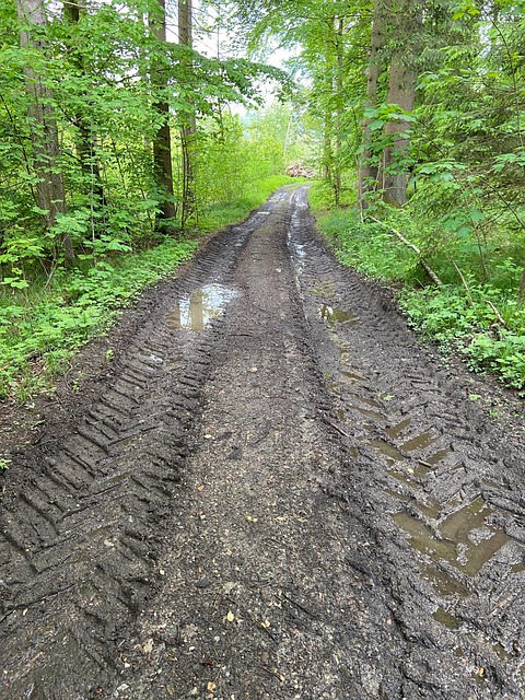 Free Dirt Road Dirt photo and picture