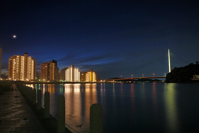 Free Night View Bridge photo and picture