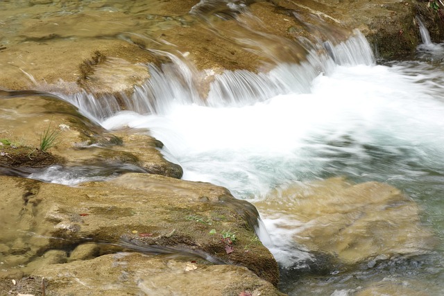 Free Water Bach photo and picture