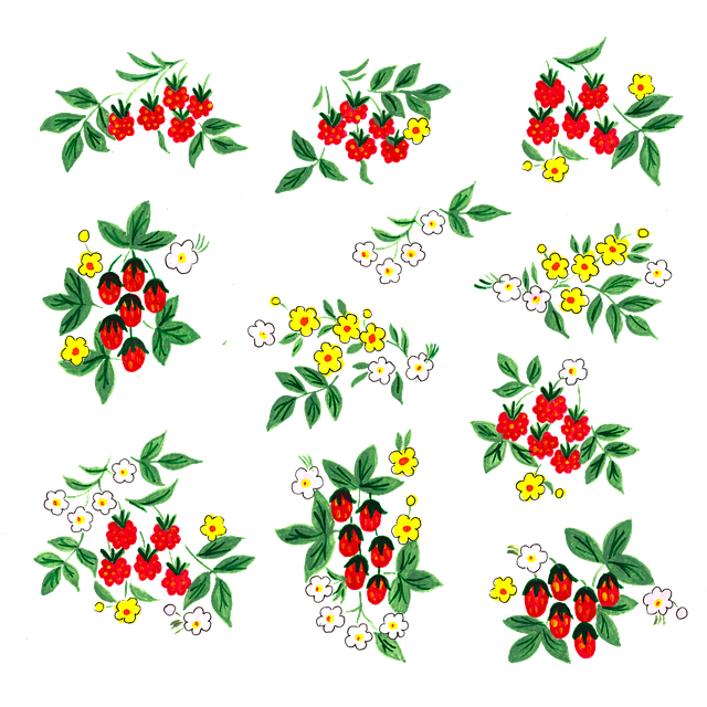 Free strawberries raspberries strawberry vector