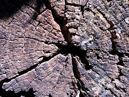 Textura, Nature, Toco, Cut, Detalhe
