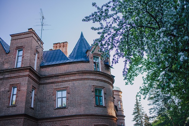 Slot, Tårn, Fæstning, Facade, Bygning