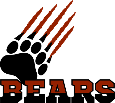 Free Bears Sport vector and picture