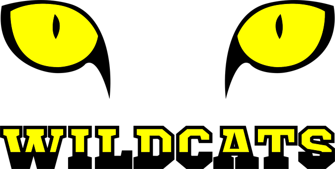 Free Wildcats Sport vector and picture