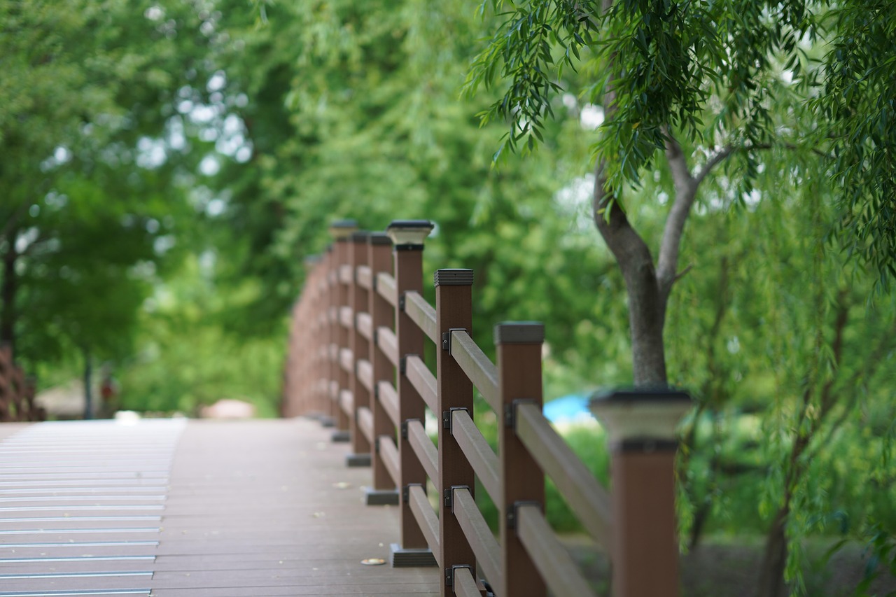Nature Bridge Landscape - Free photo on Pixabay - Pixabay