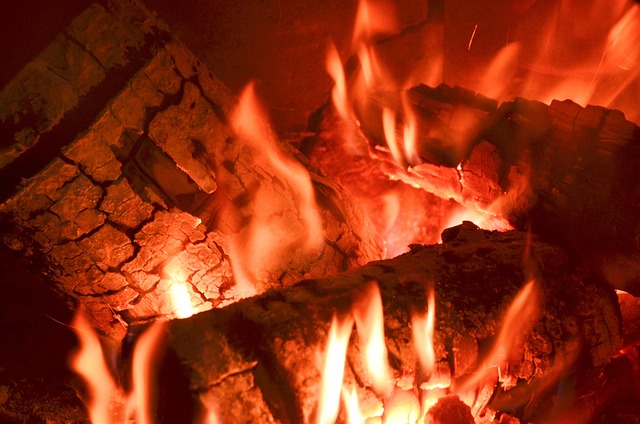 Free Fireplace Fire photo and picture