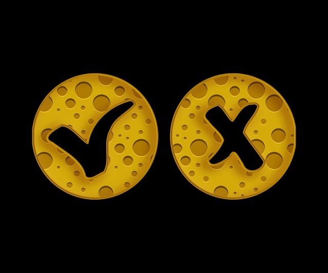 Download free HD stock image of X Mark Check Mark Free x mark check mark cheese illustration