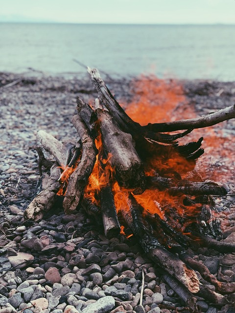 Free Fire Nature photo and picture