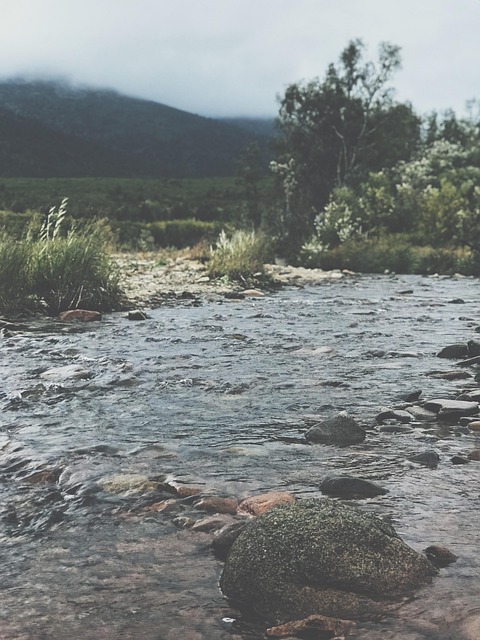 Free Nature Camping photo and picture
