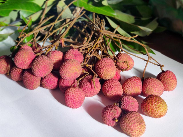 Fruta Lychee Saludable - Foto gratis en Pixabay - Pixabay