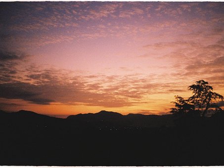 Solnedgang, Efterglød, Træer, Træ